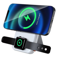 2-IN-1 POWER BANK